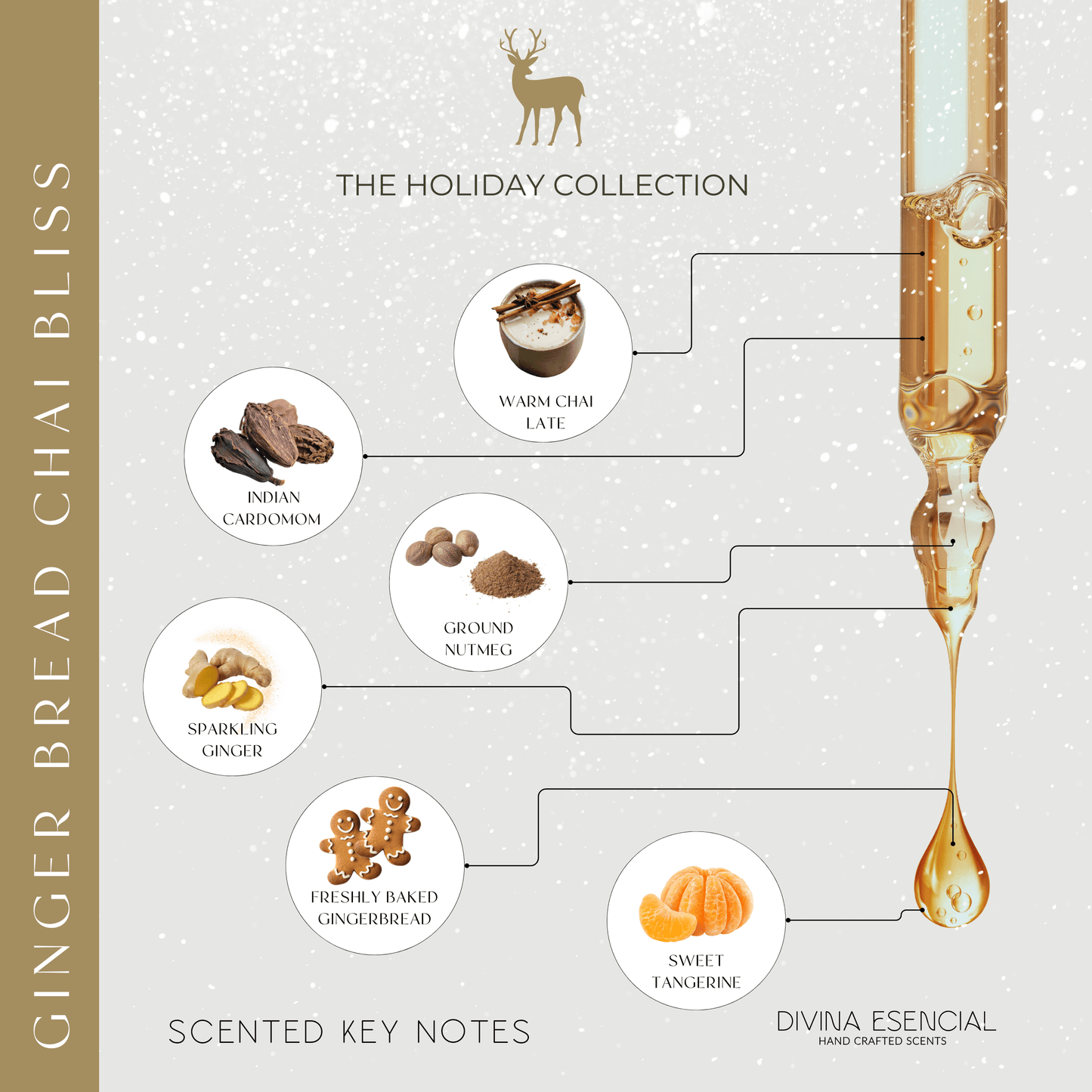 Gingerbread Chai Bliss key fragrance notes – cardamom, ginger, tangerine, chai latte, gingerbread, nutmeg, tonka bean – Christmas scent