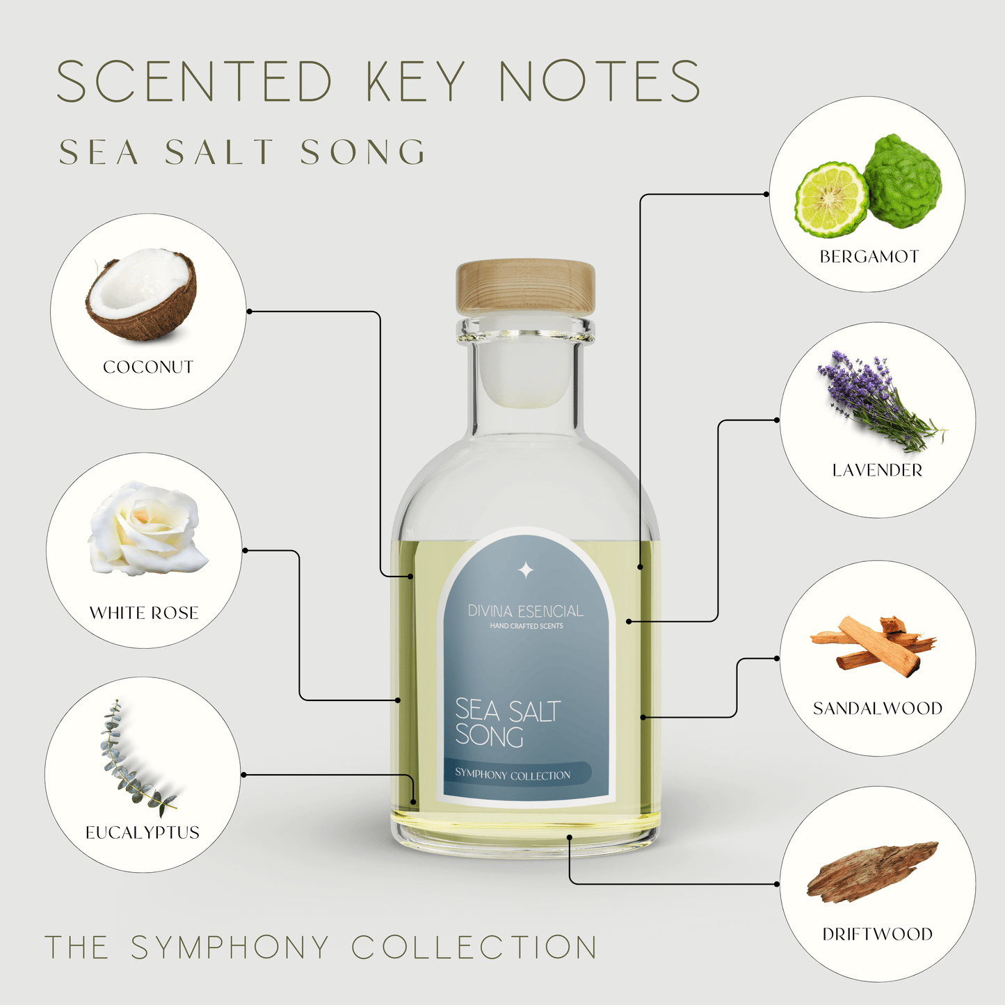 Sea Salt Song Diffuser Refill Symphony Collection