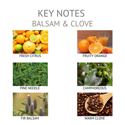 Balsam & Clove Holiday Reed Diffuser