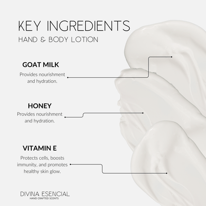 Key Ingredients - Hand & Body Lotion
