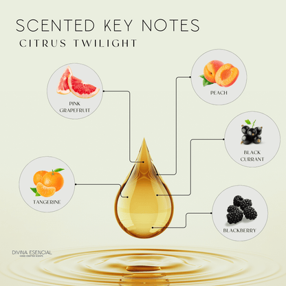 Citrus Twilight Reed Diffuser