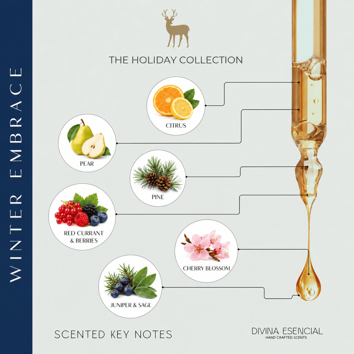 Winter Embrace Candle & Reed Diffuser Gift Set – Fall & Holiday Duo