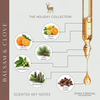 Balsam & Clove Candle & Reed Diffuser Gift Set – Holiday Duo