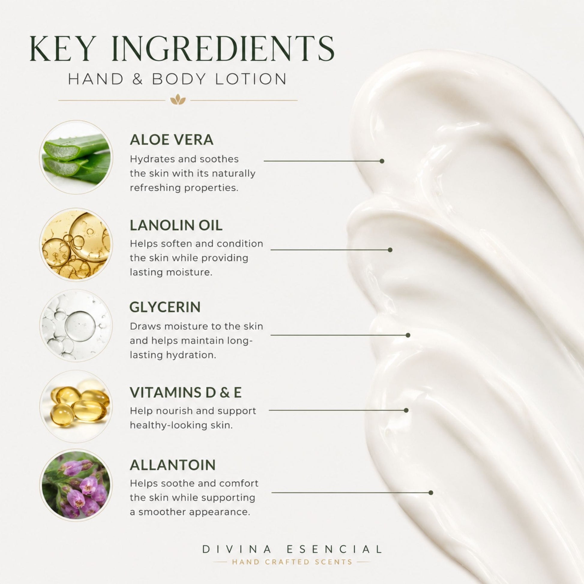 An informational graphic titled 'KEY INGREDIENTS HAND & BODY LOTION' on a white background, showing a close-up of white lotion cream on the right and ingredient callouts for aloe vera, lanolin oil, glycerin, vitamins D & E, and allantoin. The brand name 'DIVINA ESSENTIAL' appears at the bottom.