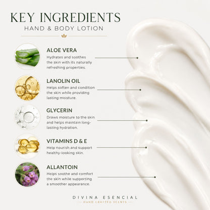 An informational graphic titled 'KEY INGREDIENTS HAND & BODY LOTION' on a white background, showing a close-up of white lotion cream on the right and ingredient callouts for aloe vera, lanolin oil, glycerin, vitamins D & E, and allantoin. The brand name 'DIVINA ESSENTIAL' appears at the bottom.