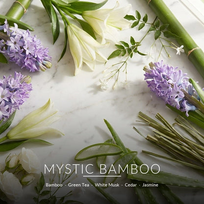Mystic Bamboo scent notes - fragrance ingredients flat lay