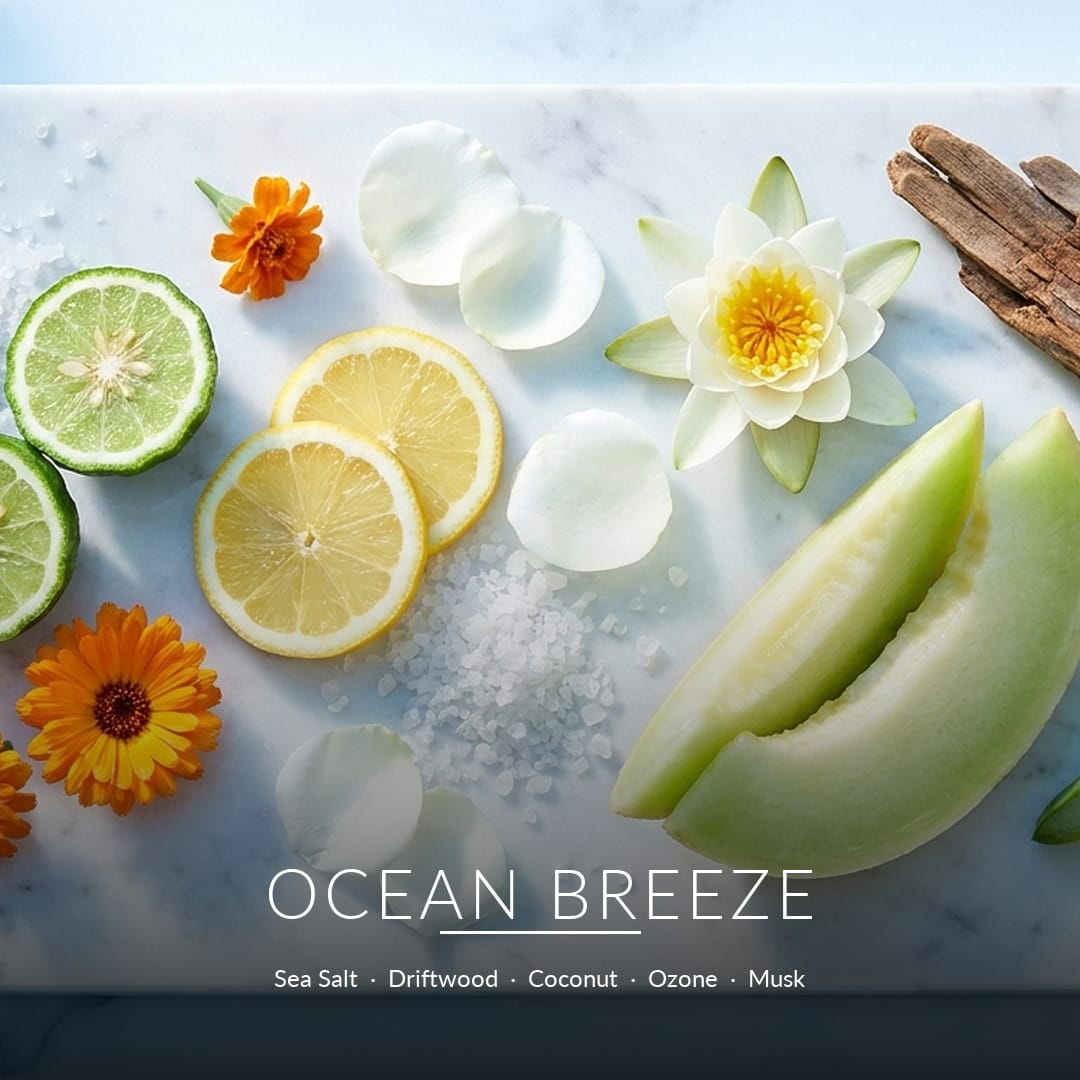 Ocean Breeze scent notes - fragrance ingredients flat lay