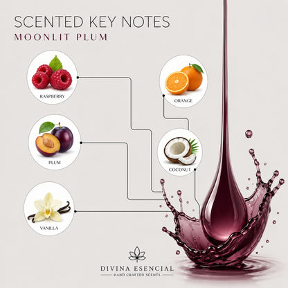 Moonlit Plum Reed Diffuser