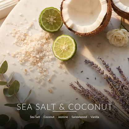Sea Salt & Coconut scent notes - fragrance ingredients flat lay
