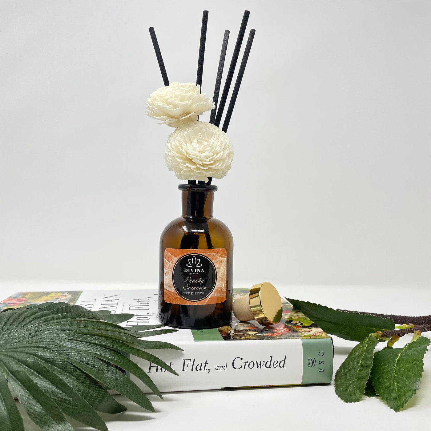 Divina Esencial Trio Gift Reed Diffuser
