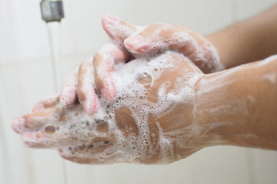 Divina Esencial Hand Soap Lemon Matcha 12 fl oz
